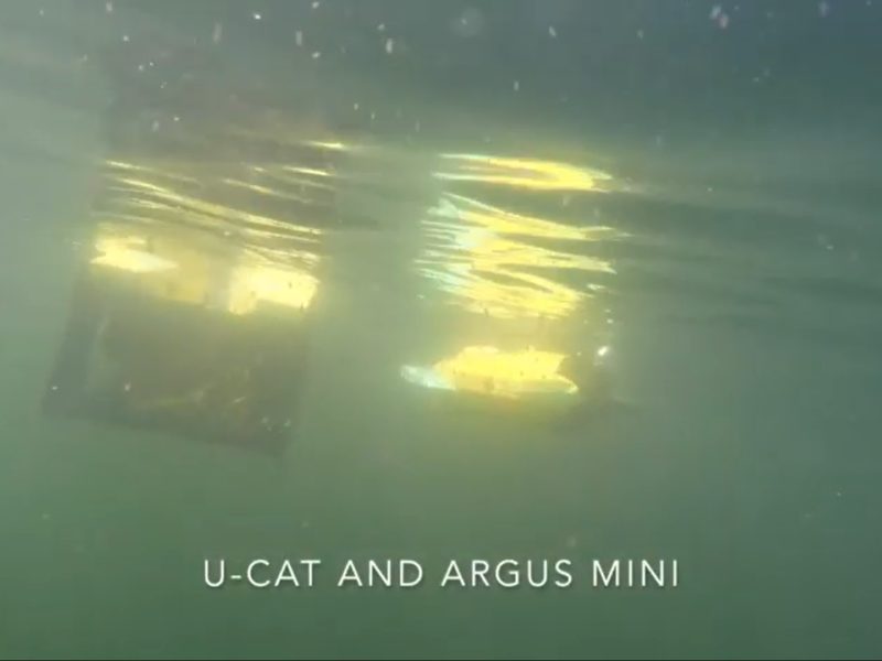 Robotyczne żółwie morskie pomogą w nadzorowaniu hodowli ryb?