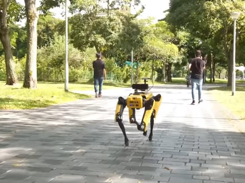 Pies-robot od Boston Dynamics patroluje teren parku w Singapurze