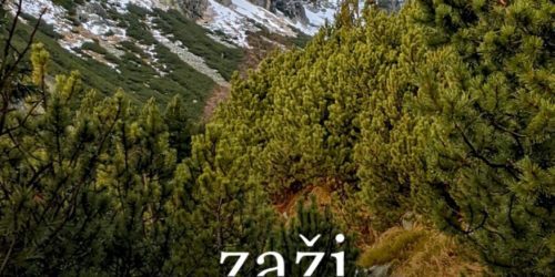 Turystyczny przewodnik po górach? Odkryj aplikację Zaži Tatry z mapami 3D