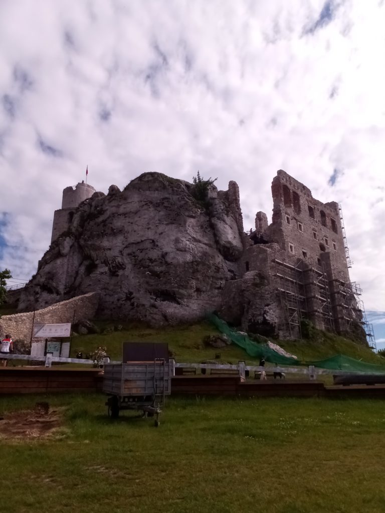 zdjęcie zamku w ogrodzieńcu