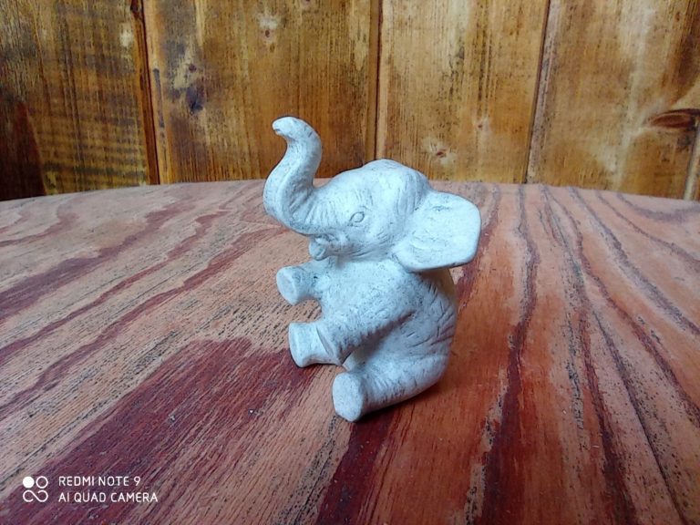 zdjęcie słonia makro Redmi Note 9
