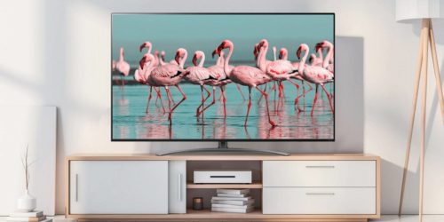lg 55nano913 w salonie, na ekranie flamingi