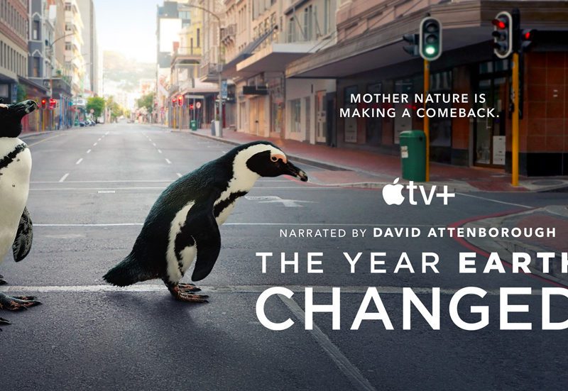 Apple pokazało zwiastun „The Year Earth Changed” – dokumentu, który powstał z okazji Dnia Ziemi
