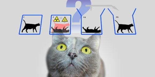 Kot Schrödingera, czyli mechanika kwantowa a zdrowy rozsądek