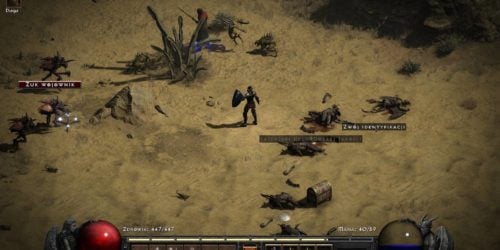 Diablo 2 Resurrected wprowadzi natychmiastowe rzucanie czarów na PC i /players 8 w opcjach gry