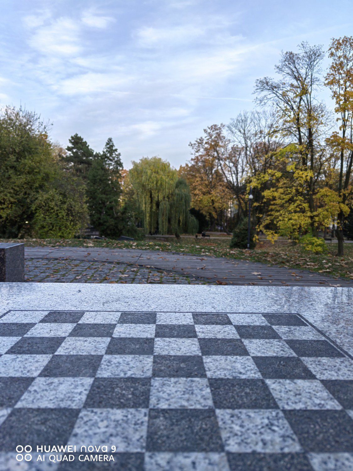 krajobraz z szachownicą zdjęcie huaweiem nova 9