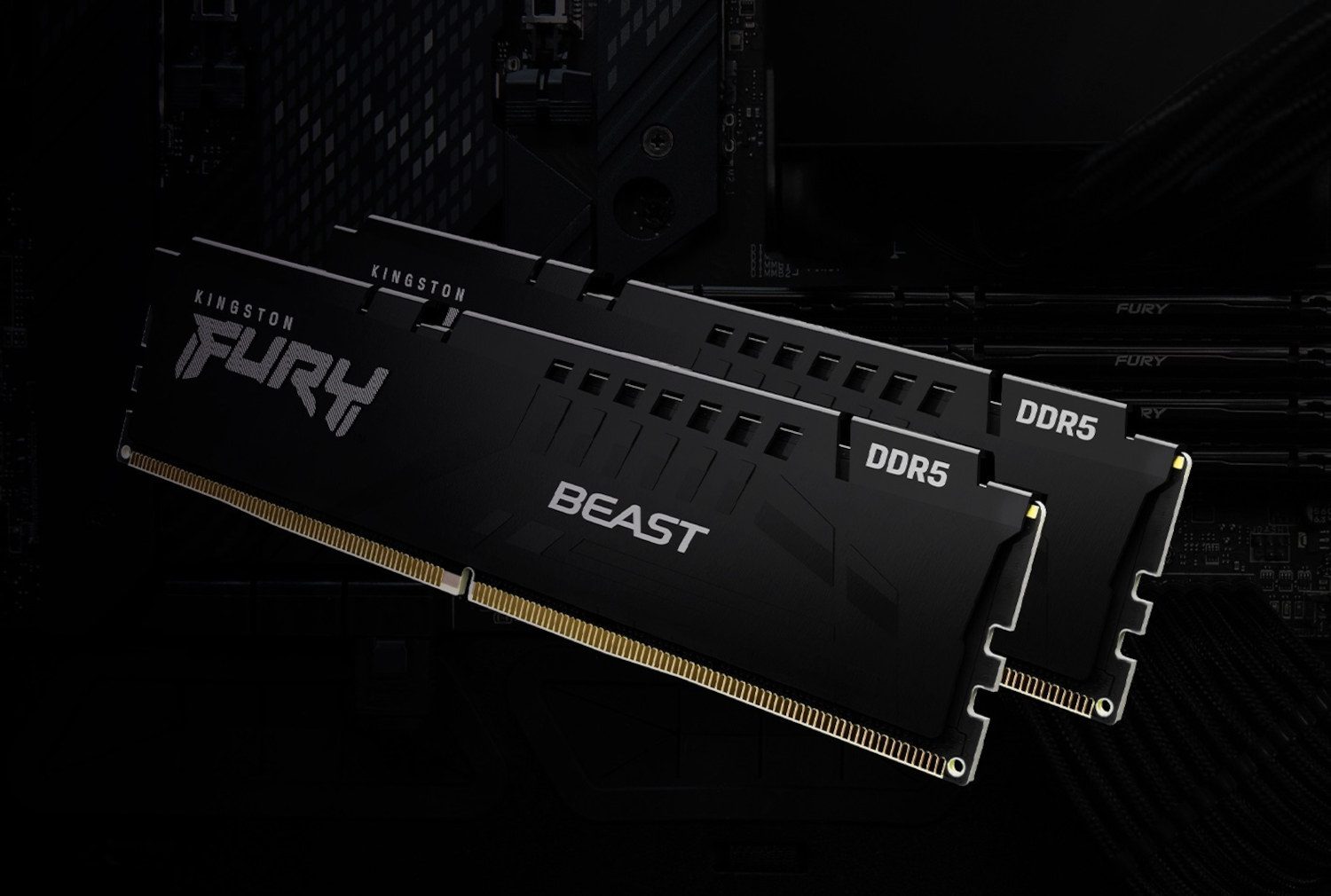 pamięć ram ddr5 kingston beast black