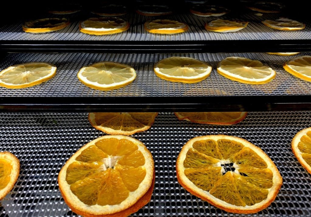 suszona pomarańcza ranking najlepsza suszarka do owoców