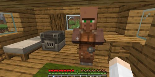 Minecraft sprzedawca skór