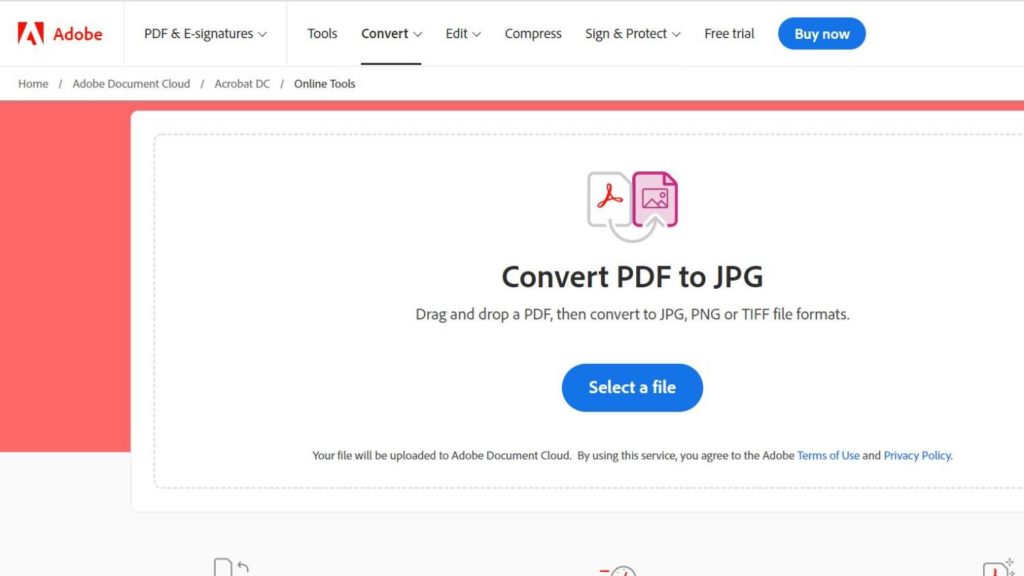 Konwerter PDF na JPG Adobe Online