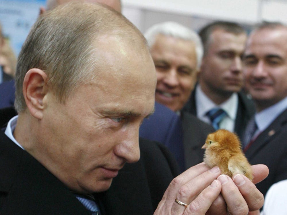 Putin i ptaszek