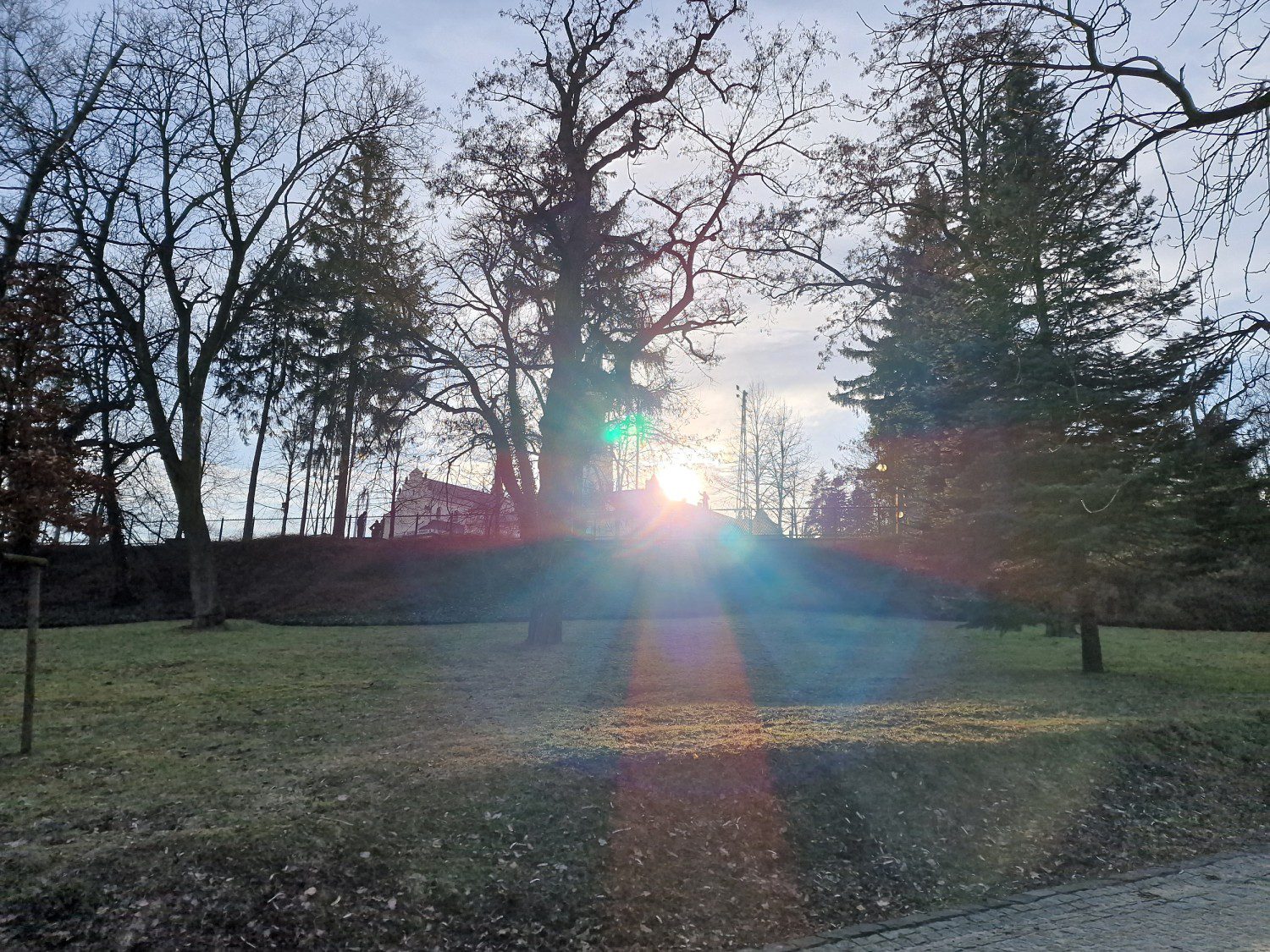słońce w parku aparatem galaxy s22 ultra