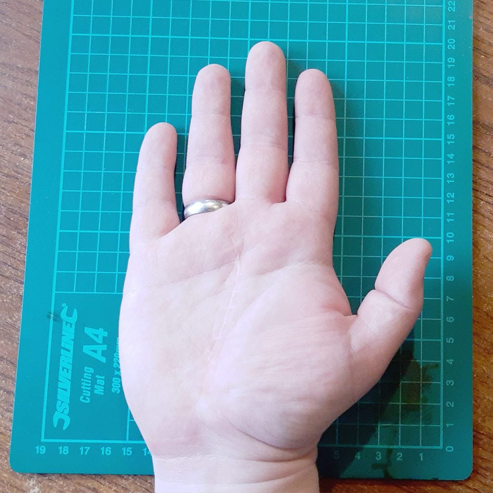 wielkość dłoni redaktora około 12 centymetrów w najszerszym miejscu i długość 20 centymetrów od nasady