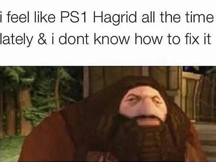 Mem z Hagridem z PS1