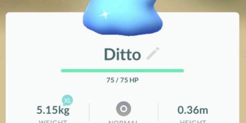 Pokémon GO – jak złapać Ditto i jego wersję Shiny