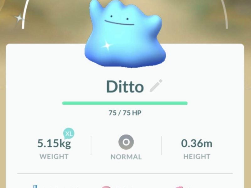 Pokémon GO – jak złapać Ditto i jego wersję Shiny