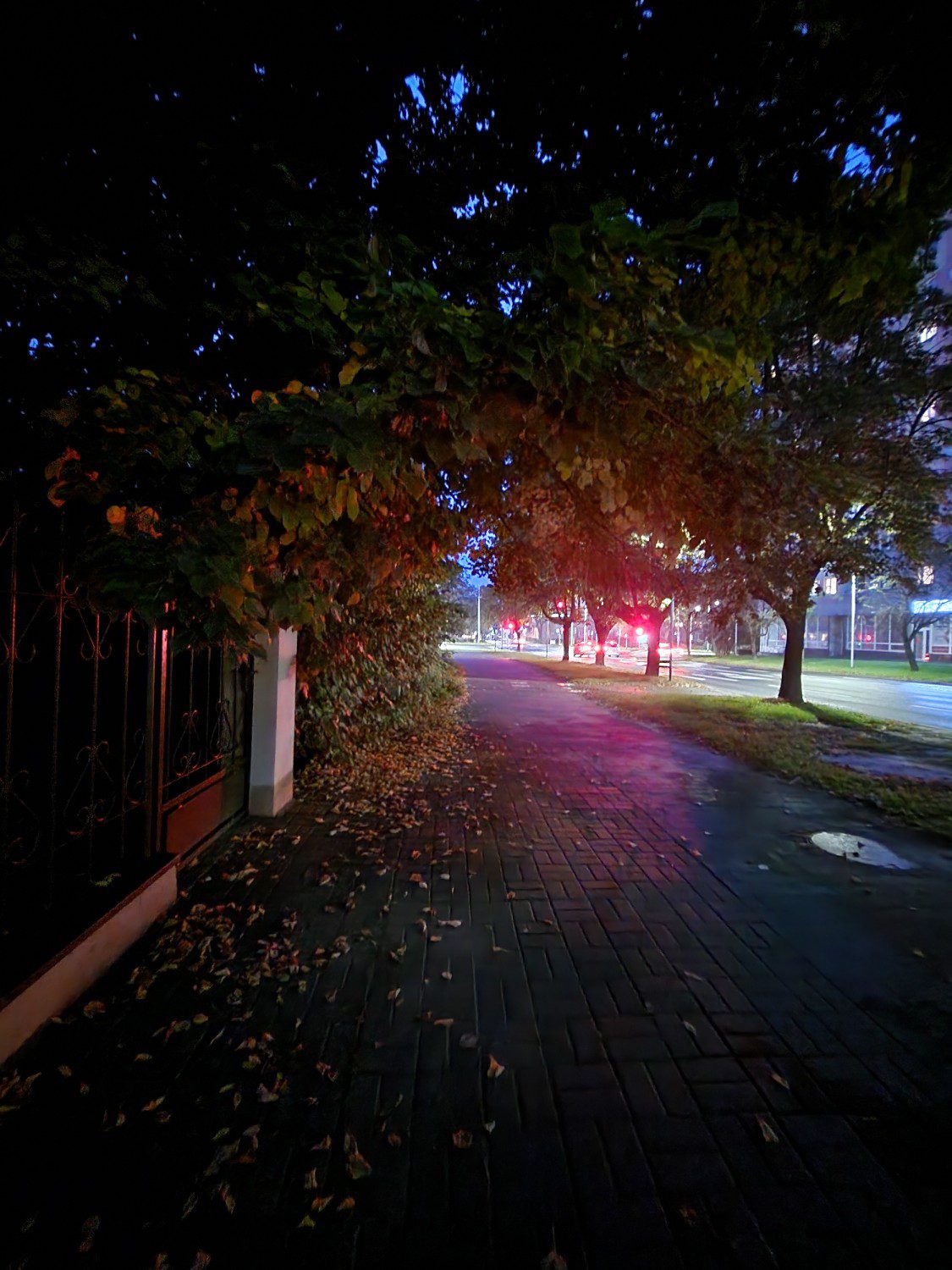 chodnik tryb nocny aparatem ultraszerokokątnym z flip4