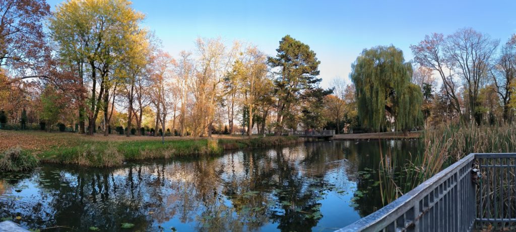 panorama wykonana aparatem xiaomi 12t