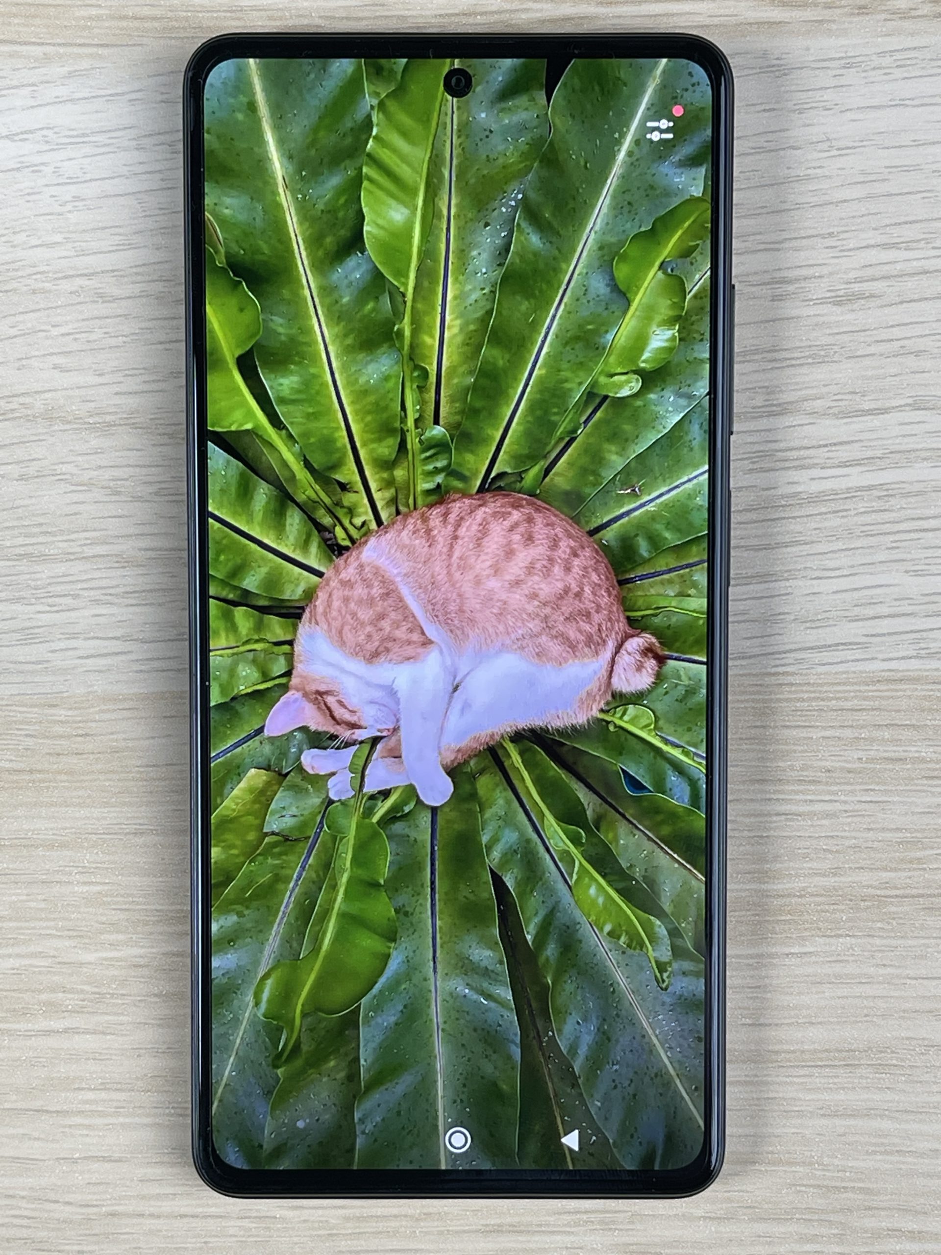 Xiaomi redmi note 12 pro 5g obraz ekran