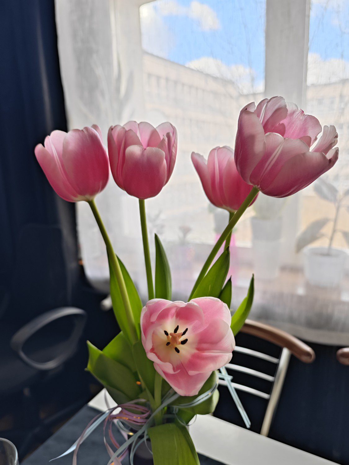 tulipany hdr xiaomi 13 pro