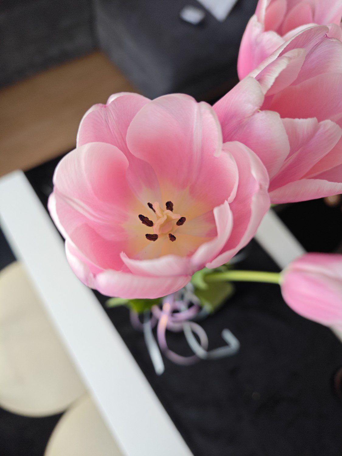 tulipan max rozdzielczość aparat główny xiaomi 13 pro